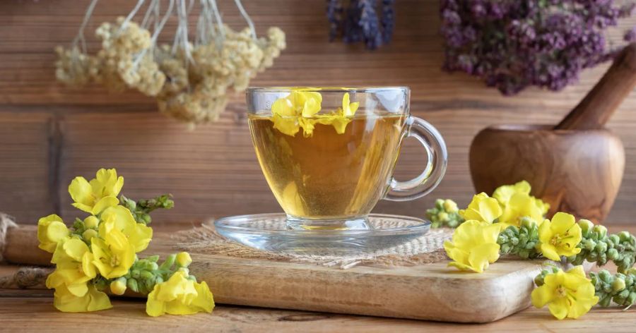 Mullein Tea Benefits for Lung Health & Detox