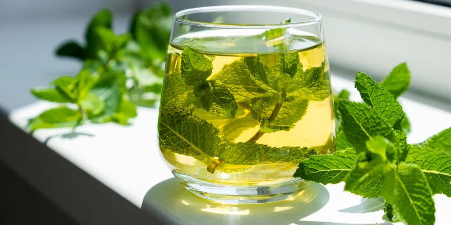 Health Benefits of Peppermint Tea You’ll Love