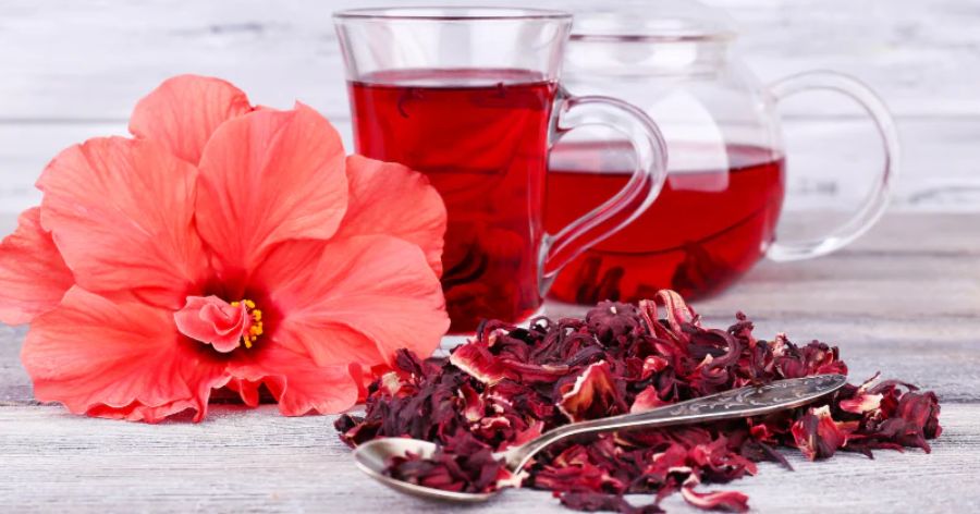Hibiscus Tea Benefits: A Comprehensive Guide