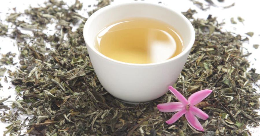 What is white tea?
