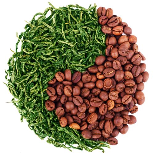 Does Tea Have Caffeine?