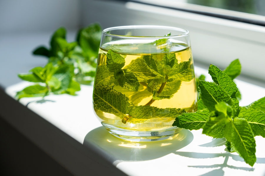 Peppermint Tea Benefits: A Guide to Natural Healing