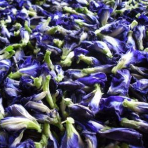 Butterfly Pea Flower | Yum Cha Tea Company